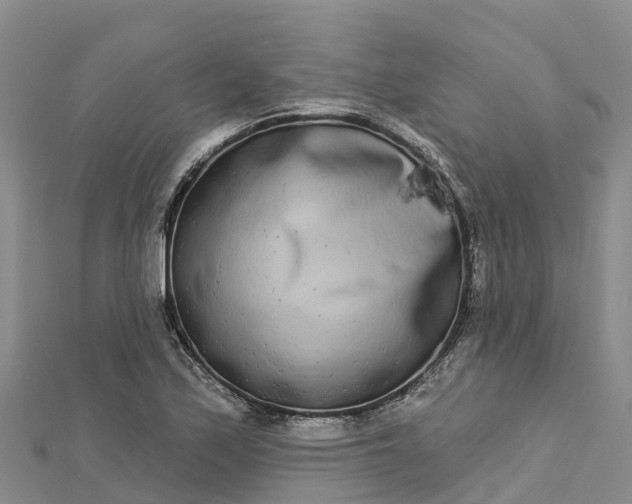 X0000112721171200909031411