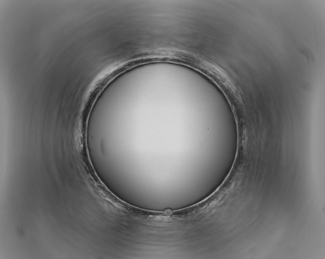 X0000112721172200909031411