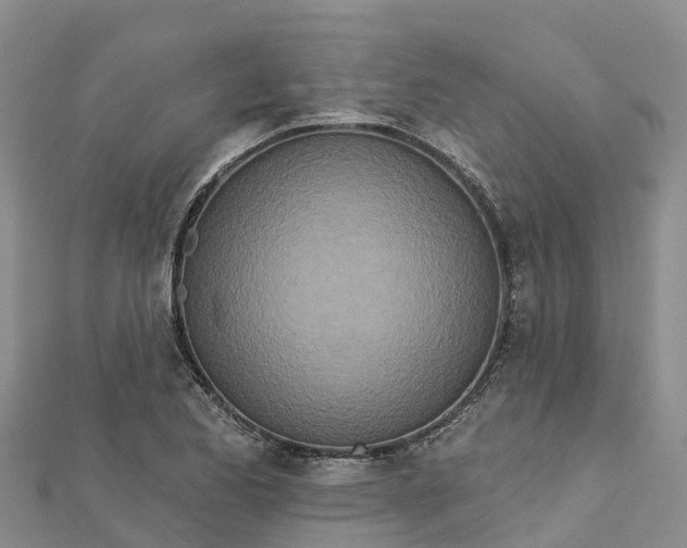 X0000112721173200909031411