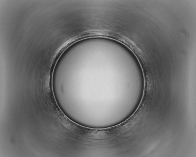 X0000112721174200909031411