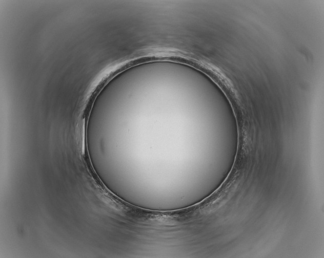 X0000112721175200909031411