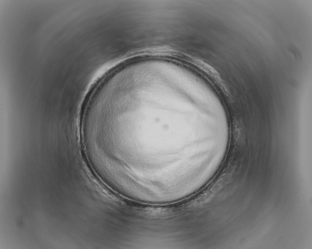 X0000112721176200909031411