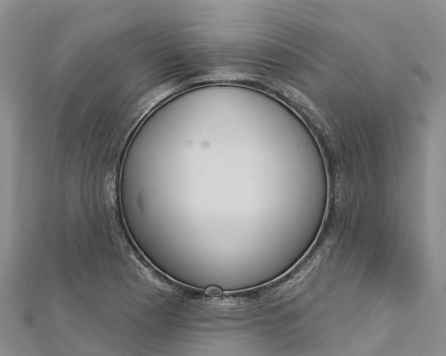 X0000112721177200909031411