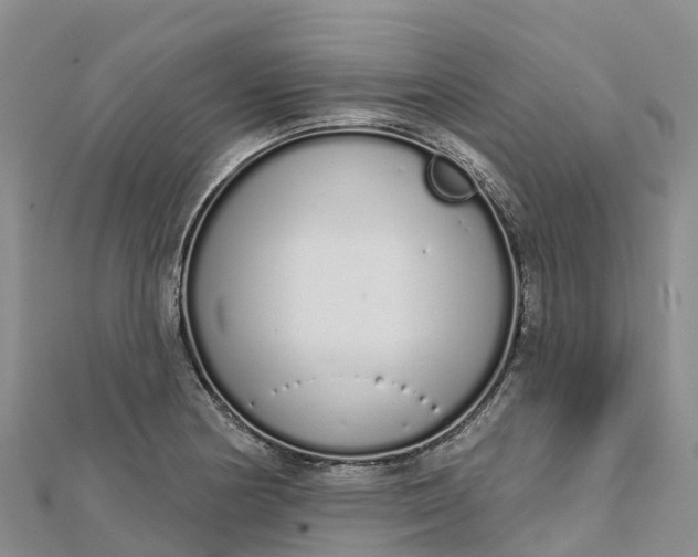 X0000112721178200909031411