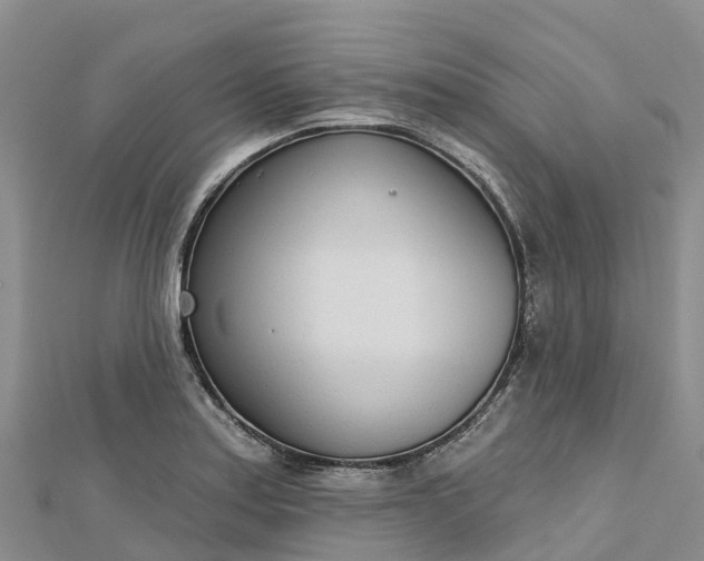 X0000112721179200909031411