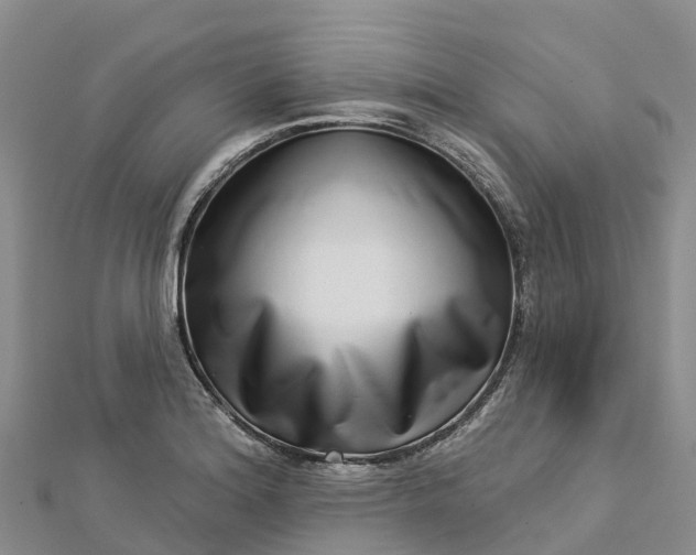 X0000112721180200909031411