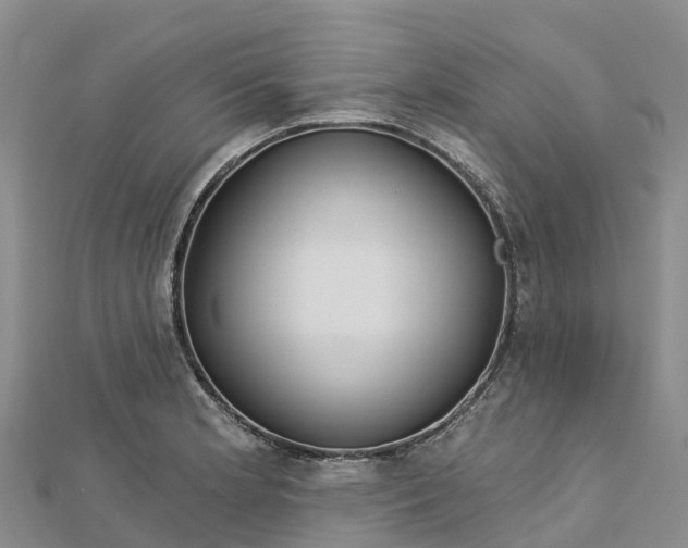 X0000112721181200909031411