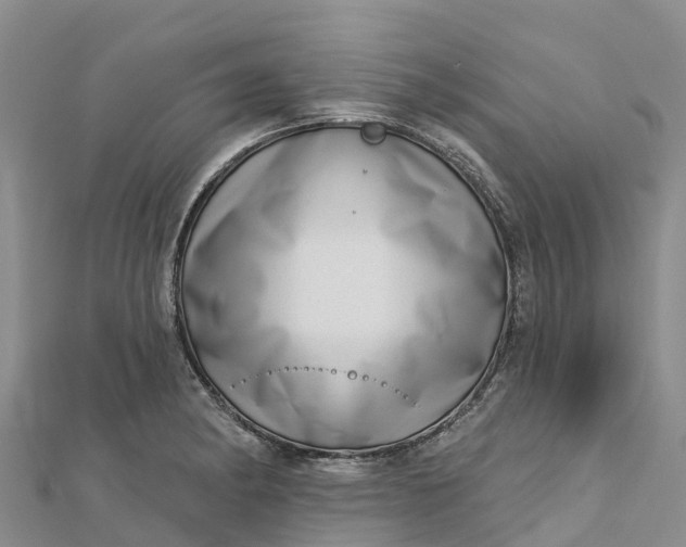 X0000112721182200909031411