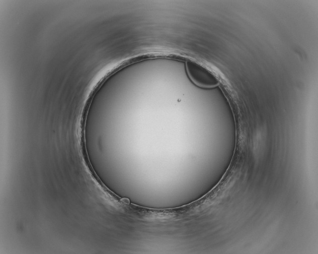 X0000112721183200909031411