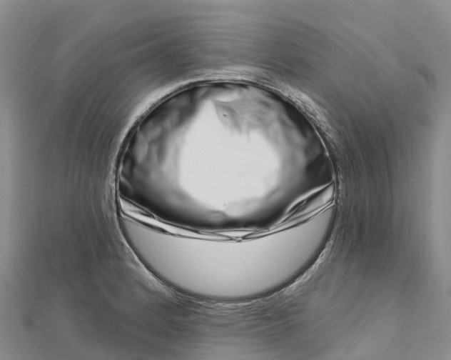 X0000112721184200909031411