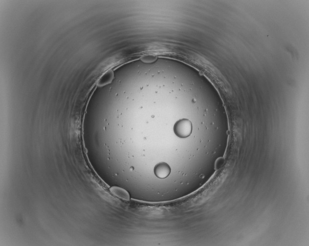 X0000112721185200909031411