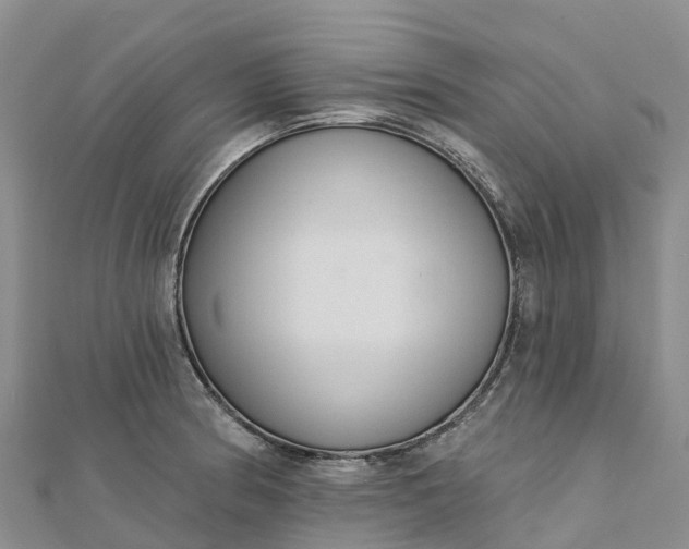 X0000112721186200909031411