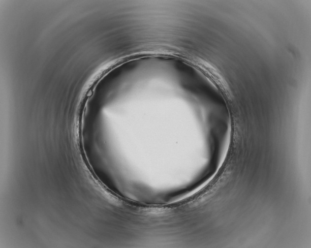 X0000112721188200909031411