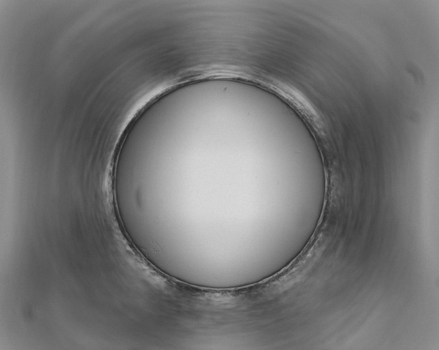 X0000112721190200909031411