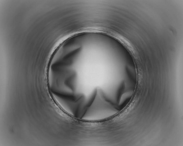 X0000112721192200909031410