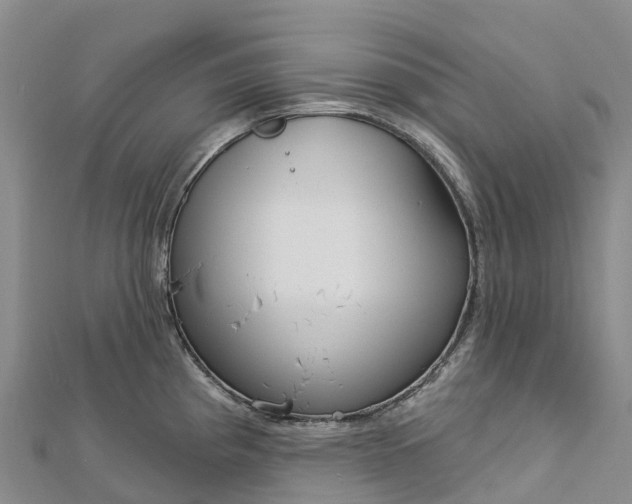 X0000112721193200909031410