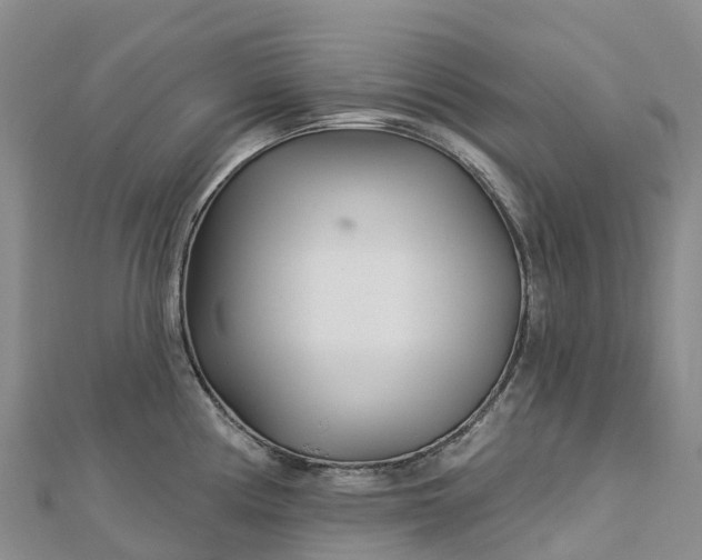 X0000112721194200909031410