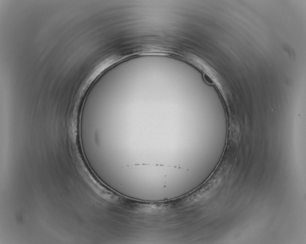 X0000112721195200909031410