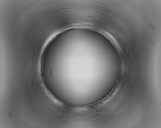 X0000112721196200909031410