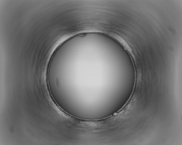 X0000112721197200909031410