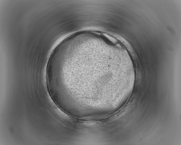 X0000112721199200909031410