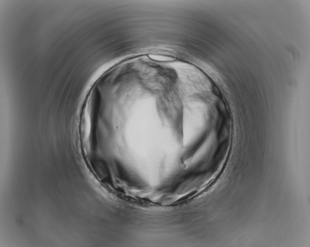 X0000112721200200909031410