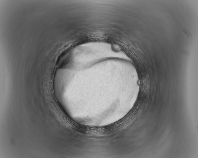 X0000112721201200909031410