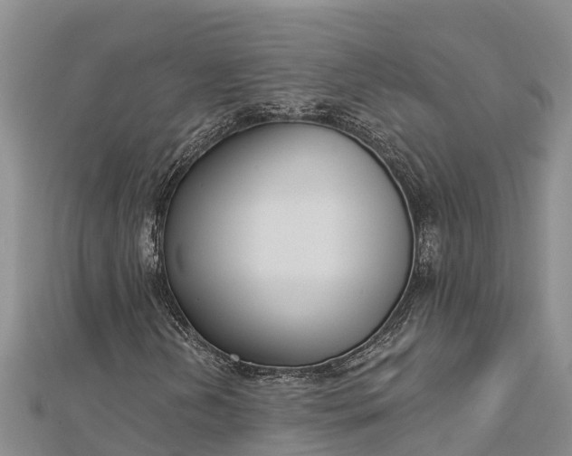 X0000112721202200909031410