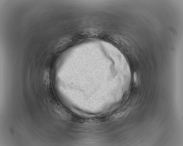 X0000112721203200909031410