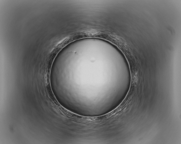 X0000112721205200909031410