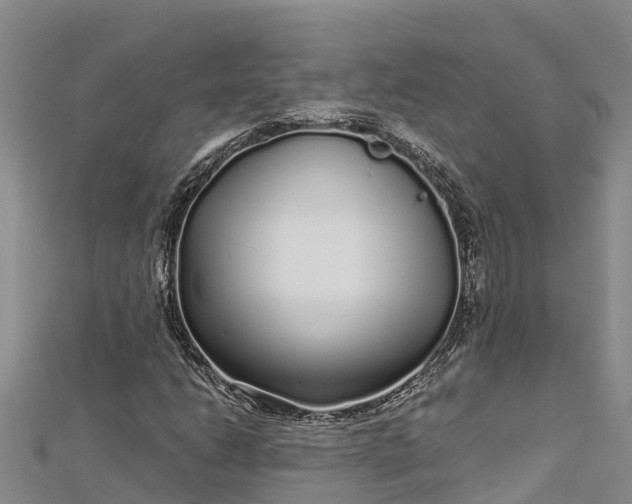 X0000112721206200909031410