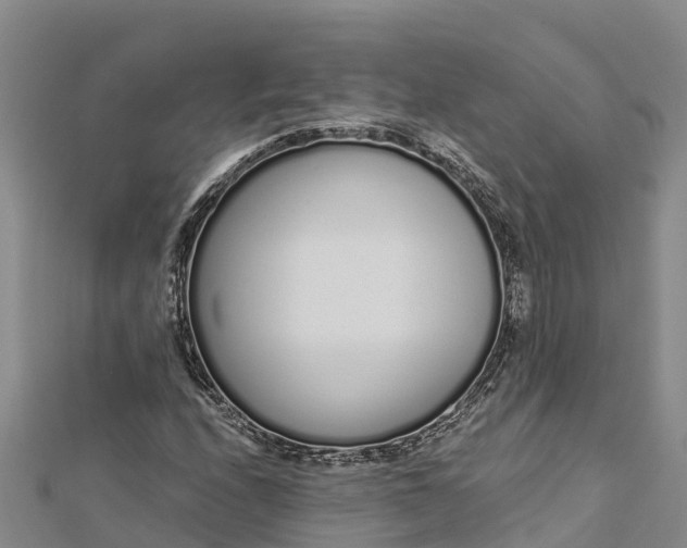 X0000112721208200909031410