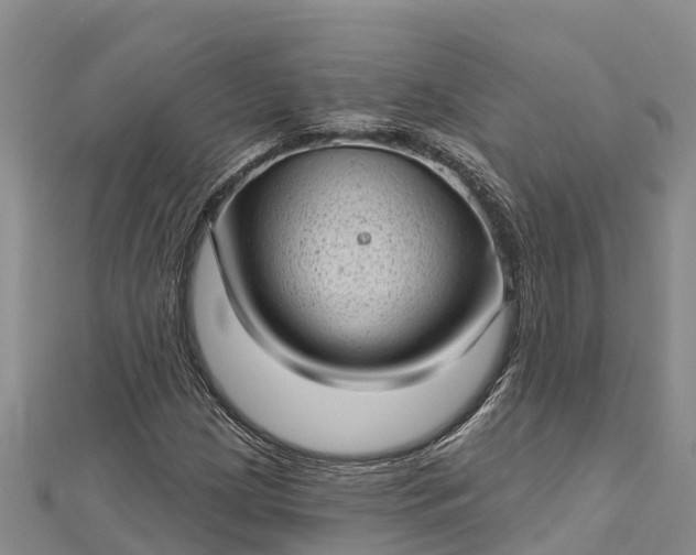 X0000112721209200909031410