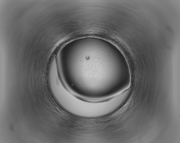 X0000112721210200909031410