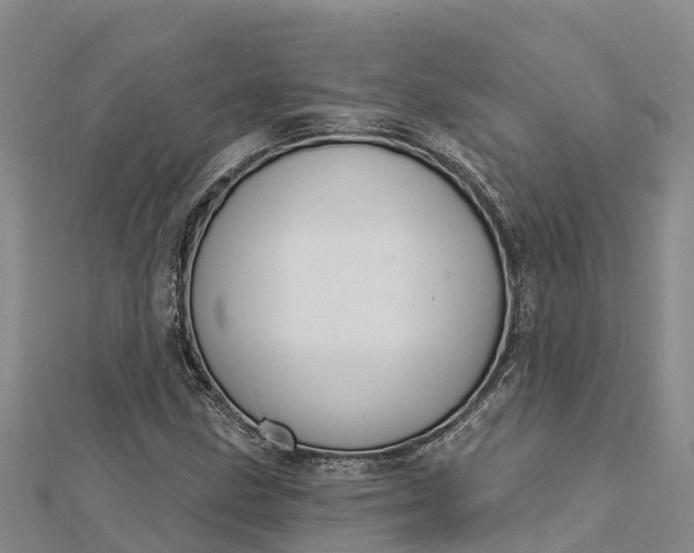 X0000112721211200909031410