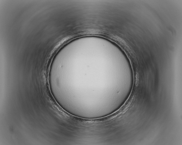 X0000112721212200909031410