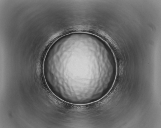 X0000112721213200909031410