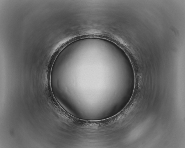 X0000112721214200909031410