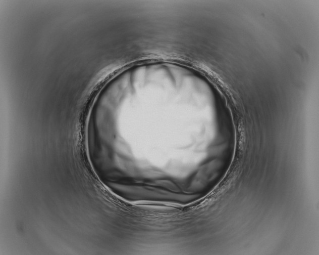 X0000112721215200909031410