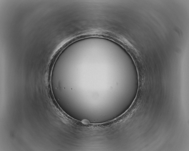 X0000112721216200909031410