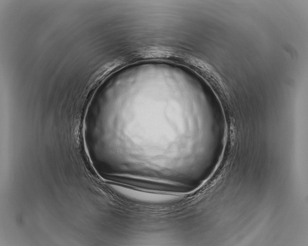 X0000112721217200909031410