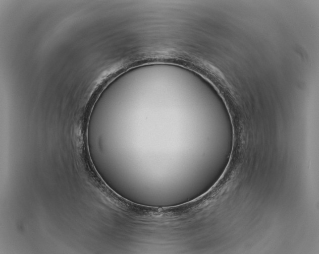 X0000112721218200909031410