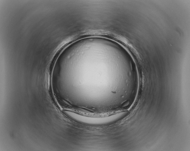 X0000112721221200909031410