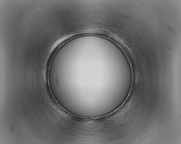 X0000112721222200909031410