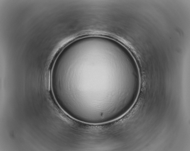 X0000112721223200909031410