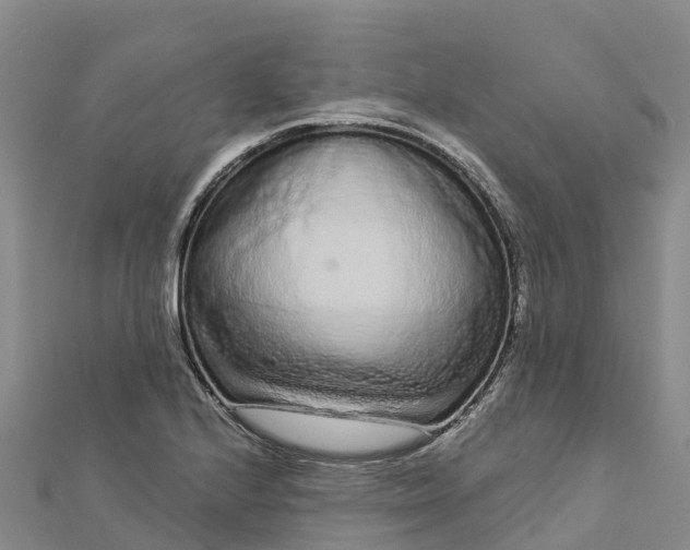 X0000112721224200909031410