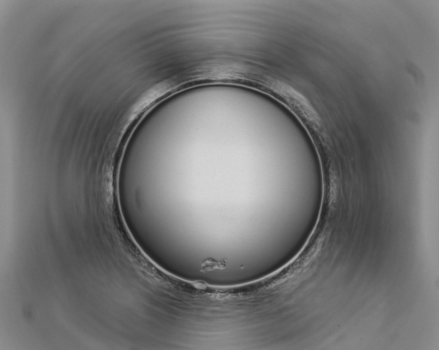 X0000112721226200909031410