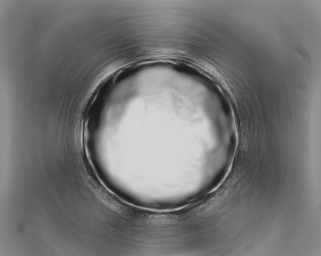 X0000112721227200909031410