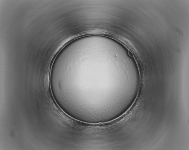 X0000112721228200909031410