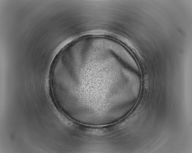 X0000112721229200909031410